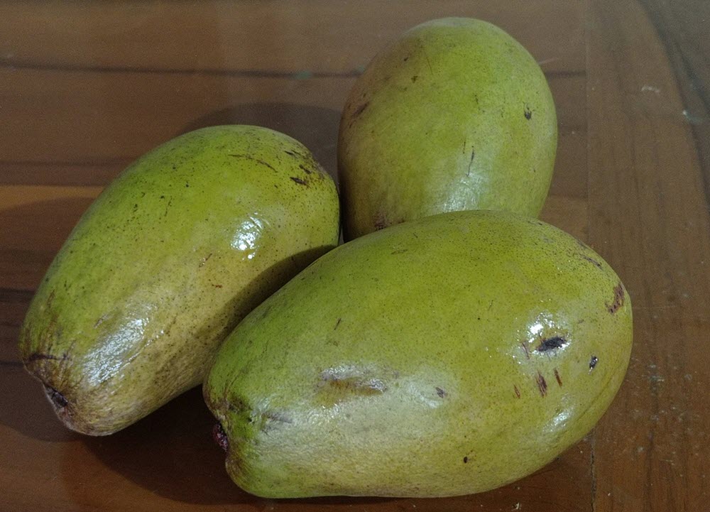 white mango (Mangif